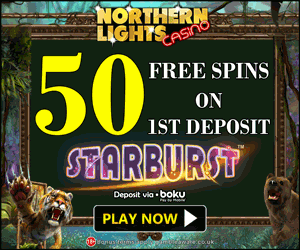Northern Lights Mobile Casino Review