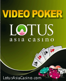 Lotus Asia Online Casino Review